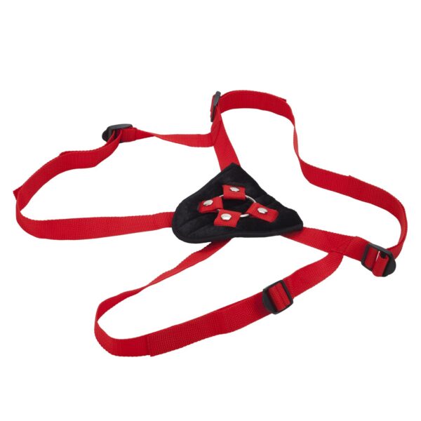 Red Rider - Image 3
