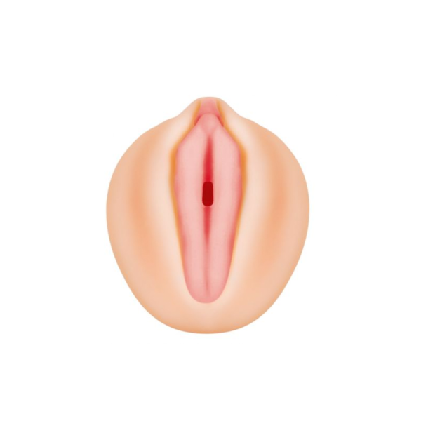 Alexis Texas Vagina Stroker - Image 2